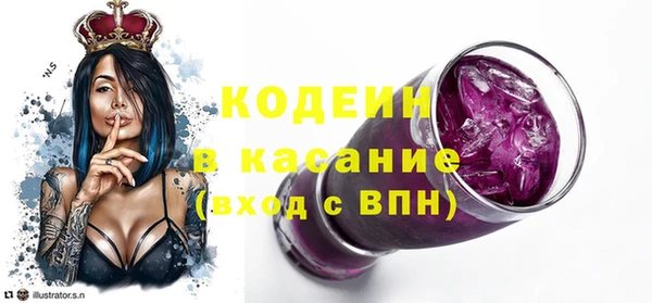 молекула духа Вяземский