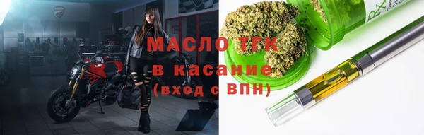 молекула духа Вяземский