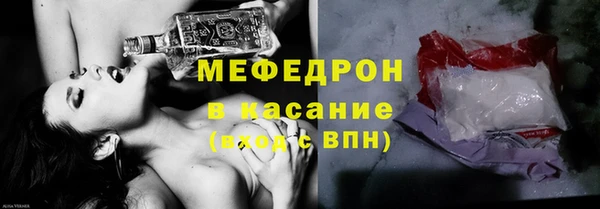 молекула духа Вяземский