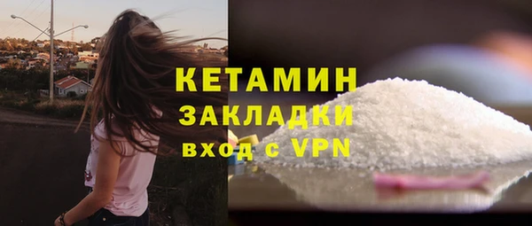 молекула духа Вяземский
