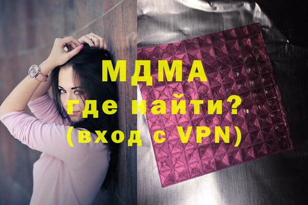 молекула духа Вяземский