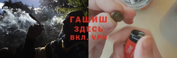 молекула духа Вяземский