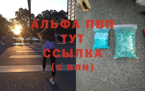 молекула духа Вяземский