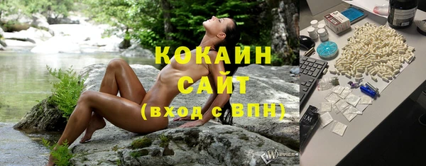 молекула духа Вяземский