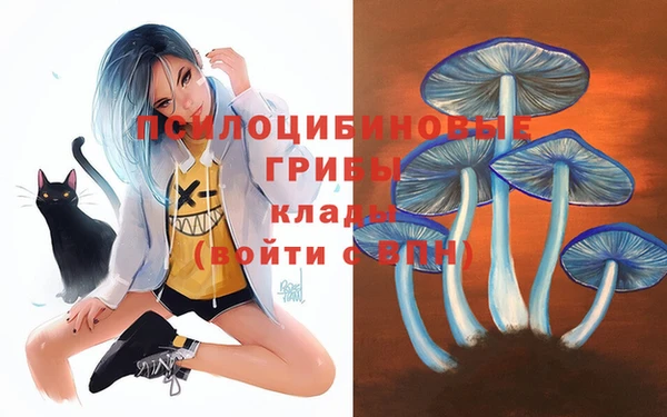 молекула духа Вяземский