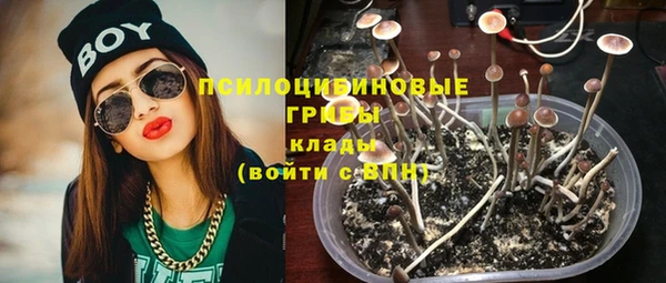 молекула духа Вяземский
