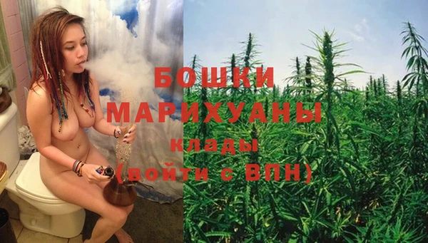 молекула духа Вяземский