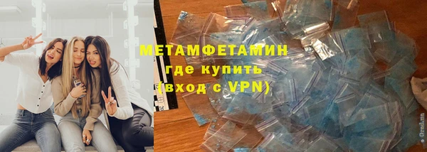 молекула духа Вяземский