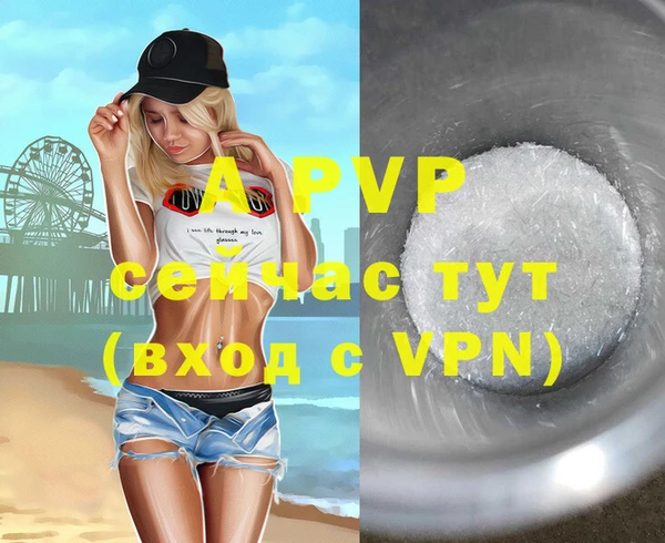 молекула духа Вяземский