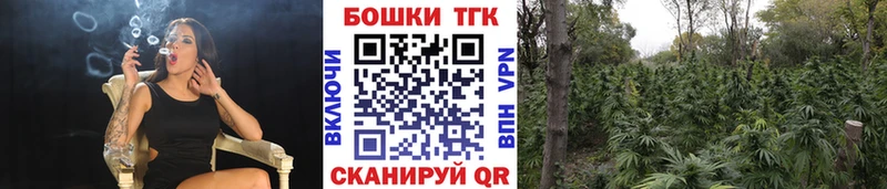 Марихуана THC 21%  Купить  Курильск 